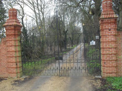 Traditioanl Ironwork - Gate