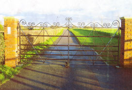 Traditioanl Ironwork - Gate