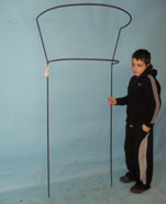 Rose / plant supports